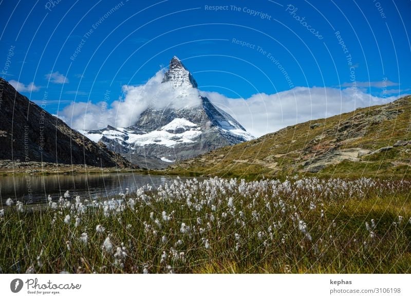 Riffelsee mit Matterhorn Umwelt Natur Landschaft Pflanze Himmel Sommer Wiese Felsen Alpen Berge u. Gebirge Gipfel Schneebedeckte Gipfel außergewöhnlich