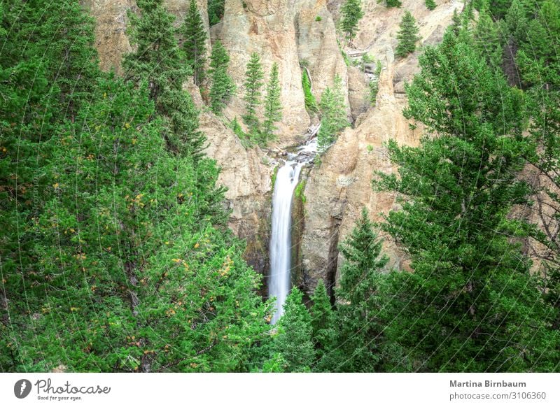 Tower Falls lange Exposition im Yellowstone Nationalpark, USA Erholung Ferien & Urlaub & Reisen Sommer Berge u. Gebirge Umwelt Natur Landschaft Herbst Baum Park