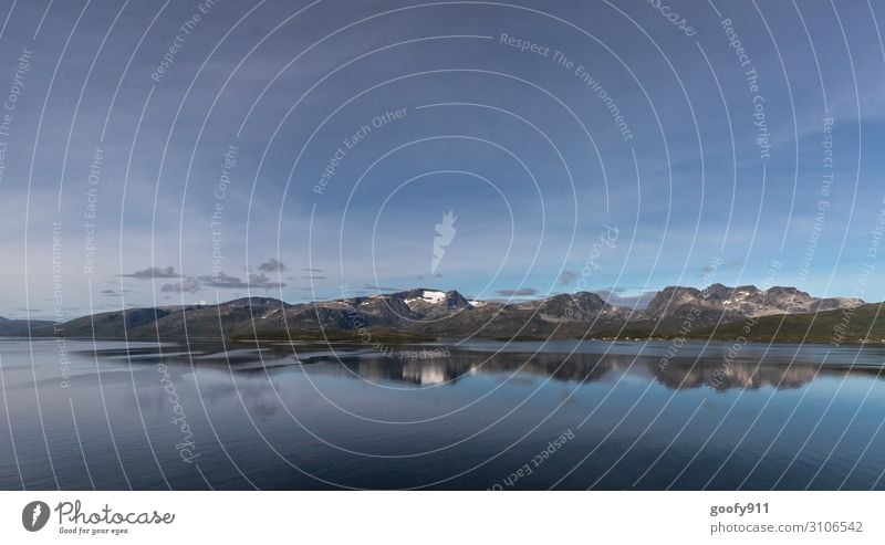 Schneebedeckter Gipfel in Norwegen Ferien & Urlaub & Reisen Tourismus Ausflug Abenteuer Ferne Freiheit Kreuzfahrt Expedition Natur Landschaft Wasser Himmel