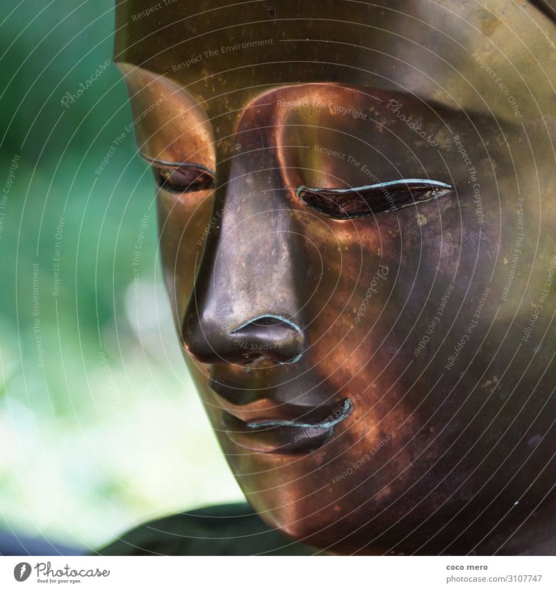 Buddha exotisch Gesicht Gesundheit Gesundheitswesen Alternativmedizin Wellness harmonisch Wohlgefühl Zufriedenheit Sinnesorgane Erholung ruhig Meditation