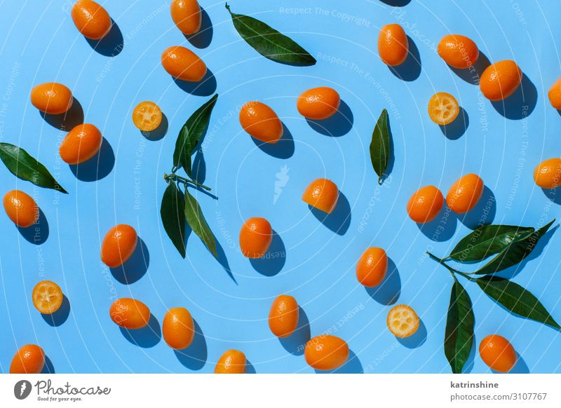 Kumquat-Früchte auf blauem Hintergrund Frucht Ernährung Vegetarische Ernährung exotisch Menschengruppe Blatt frisch modern natürlich oben saftig gelb Farbe
