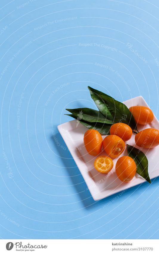 Kumquat-Früchte auf blauem Hintergrund Frucht Ernährung Vegetarische Ernährung Teller exotisch Sommer Blatt frisch saftig Zitrusfrüchte orange tropisch