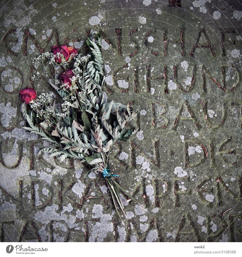 Gegangen Grabstein Aufschrift Rose Blumenstrauß Stein Schriftzeichen liegen alt trocken unten Traurigkeit Sorge Trauer Tod Sehnsucht Einsamkeit Ewigkeit Verfall