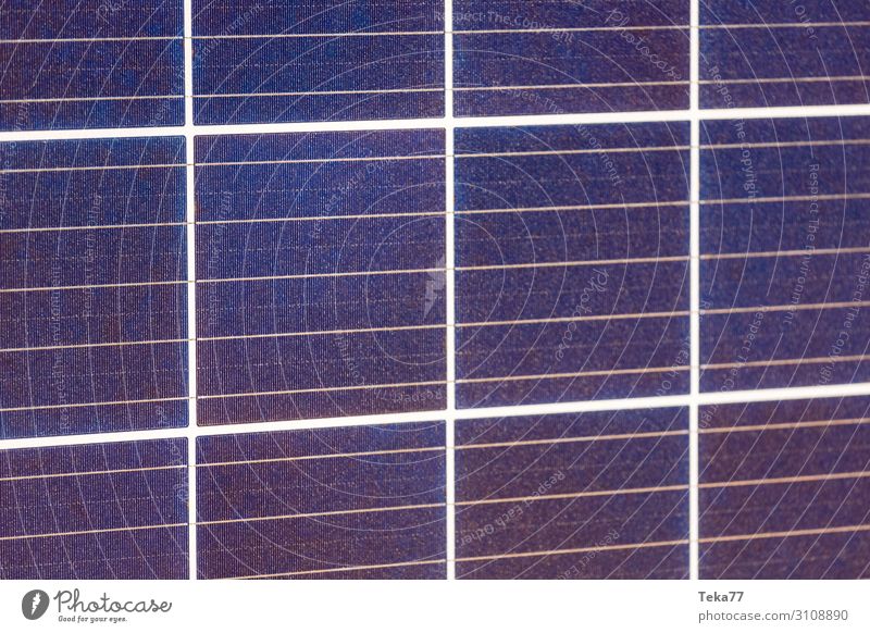 Solarzellen Neu Sommer Technik & Technologie Wissenschaften Fortschritt Zukunft ästhetisch Sonnenenergie Erneuerbare Energie Farbfoto Gedeckte Farben