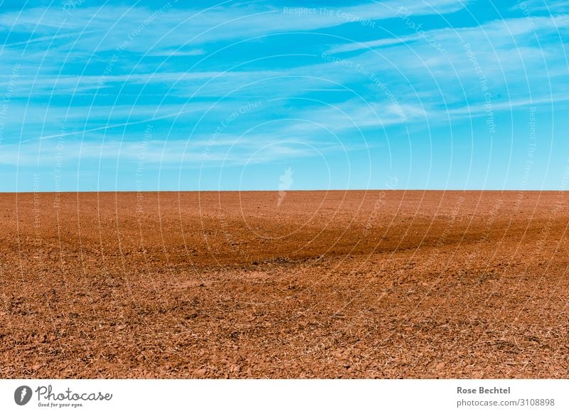 Feldgrenze Umwelt Landschaft Erde Klimawandel Schönes Wetter Unendlichkeit trist trocken blau braun minimalistisch Farbfoto Außenaufnahme Menschenleer