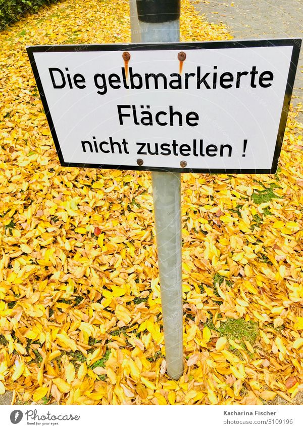 Herbstlaub Natur Klima Blatt Schriftzeichen Hinweisschild Warnschild gelb gold grün schwarz weiß Wege & Pfade Barriere Schilder & Markierungen Herbstfärbung