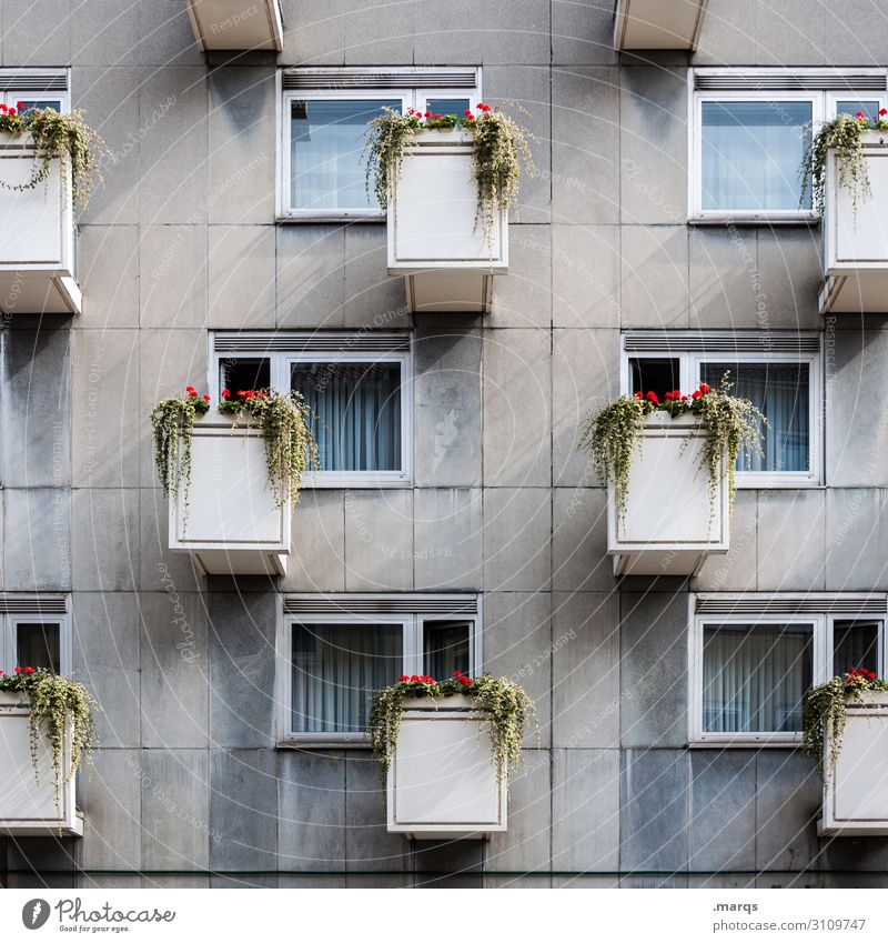 Wucher Häusliches Leben Wohnung Blume Fassade Balkon Fenster Ordnung Plattenbau Mietrecht trist Farbfoto Außenaufnahme Menschenleer Tag