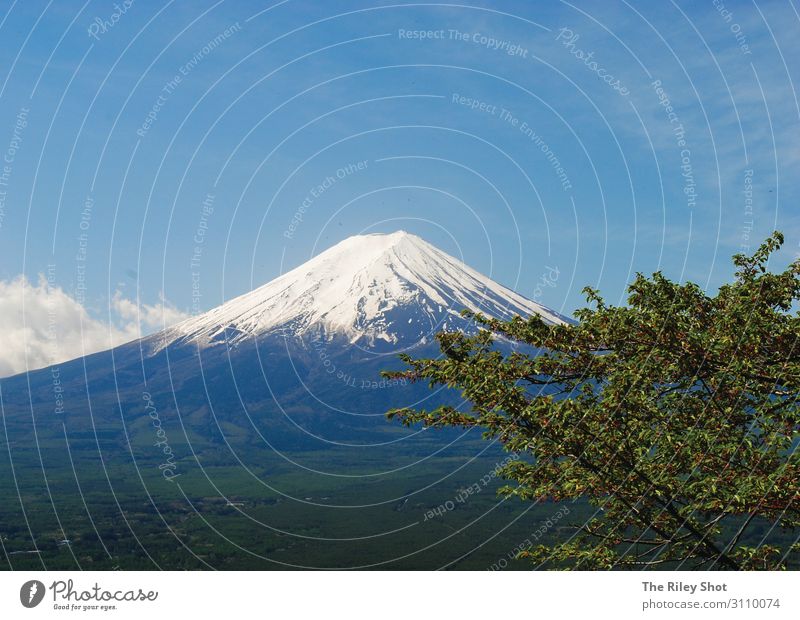 Fuji Berg Lifestyle Umwelt Natur Landschaft Luft Frühling Klima Klimawandel Wetter Schönes Wetter Tokyo Ferien & Urlaub & Reisen alt Freude Glück Fröhlichkeit