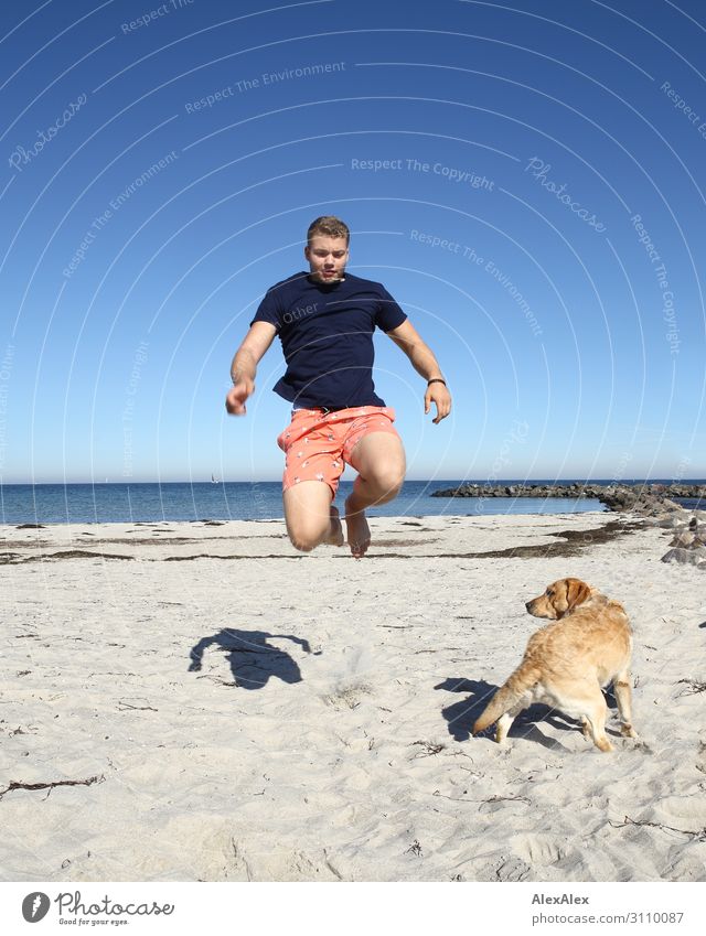 Junger Mann springt am Strand an einem blonden Labrador vorbei Lifestyle Freude sportlich Fitness Leben Sommer Sommerurlaub Meer Leichtathletik Jugendliche