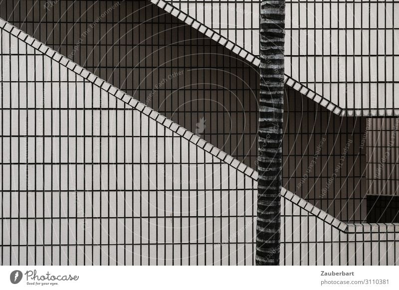 Abwärts Architektur Hongkong Kowloon Stadt Stadtzentrum Museum Treppe Fassade Sehenswürdigkeit Kulturzentrum Fliesen Fliesen u. Kacheln außergewöhnlich kalt