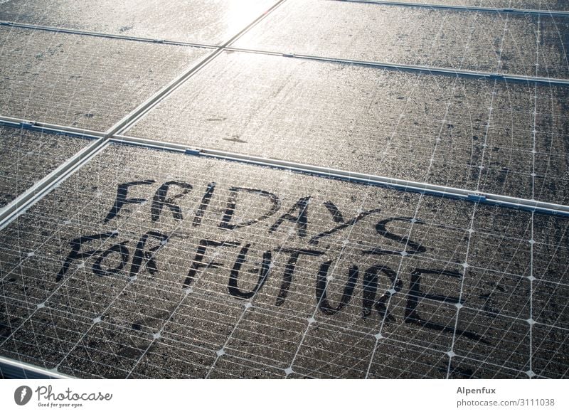 Fridays for future Fortschritt Zukunft Energiewirtschaft Erneuerbare Energie Sonnenenergie Energiekrise Angst Endzeitstimmung Entschlossenheit Erfolg