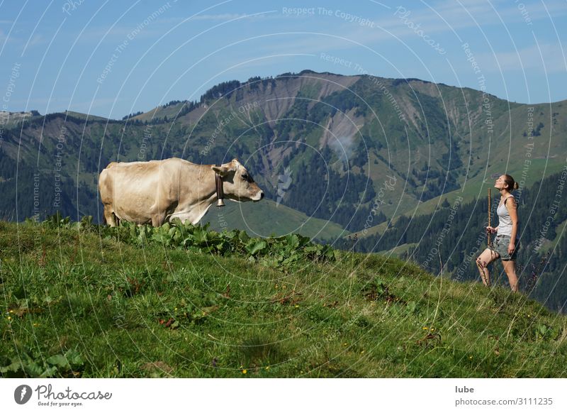 Gespräche Zufriedenheit Landwirtschaft Forstwirtschaft Junge Frau Jugendliche 1 Mensch Umwelt Natur Landschaft Sommer Schönes Wetter Alpen Berge u. Gebirge