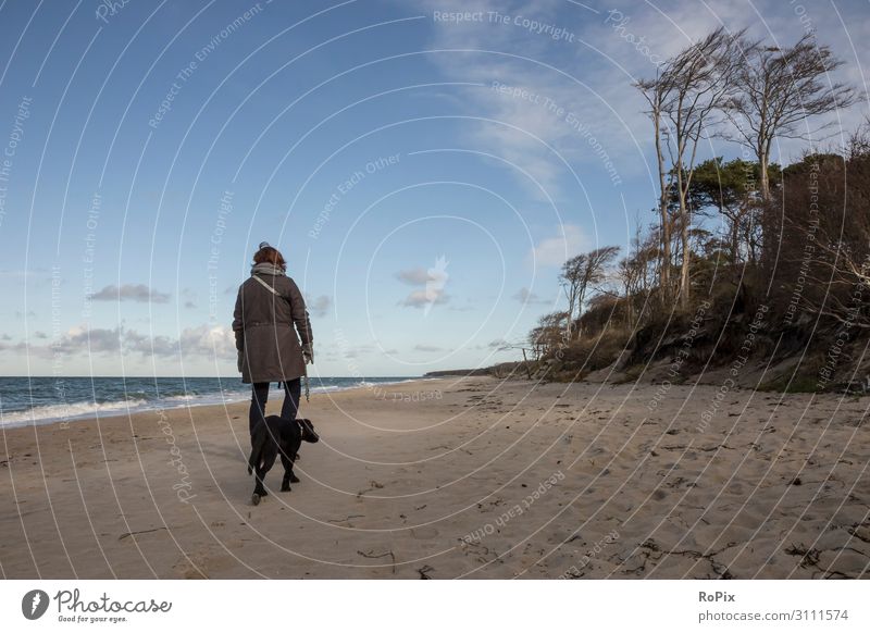 Frau, die mit dem Hund an der Ostsee spazieren geht. Lifestyle Stil Gesundheit Wellness Leben Erholung Meditation Freizeit & Hobby Ferien & Urlaub & Reisen