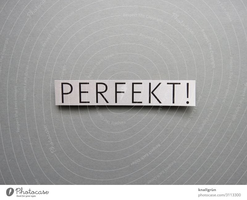 Perfekt! perfekt 100 % Erwartung Perfektion Buchstaben Wort Satz Letter Text Typographie Lateinisches Alphabet Sprache Schriftzeichen Schriftbild Mitteilung