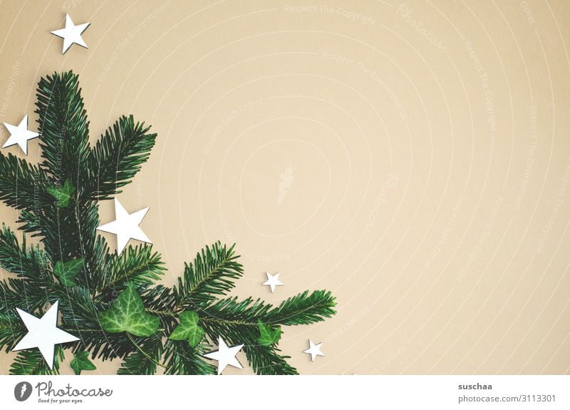 weihnachtliches dekozeugs (3) Stern (Symbol) Tannenzweig Weihnachten & Advent Postkarte Dekoration & Verzierung Flatlay Hintergrund neutral viel Textfreiraum