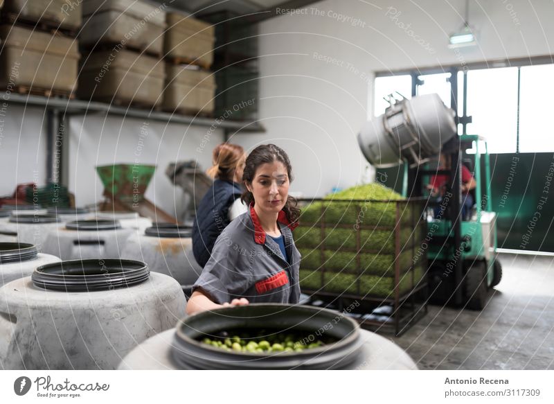 Olivenfabrik Frucht kaufen Arbeit & Erwerbstätigkeit Beruf Arbeitsplatz Fabrik Industrie Unternehmen Frau Erwachsene Pflanze Verkehr Container Verpackung