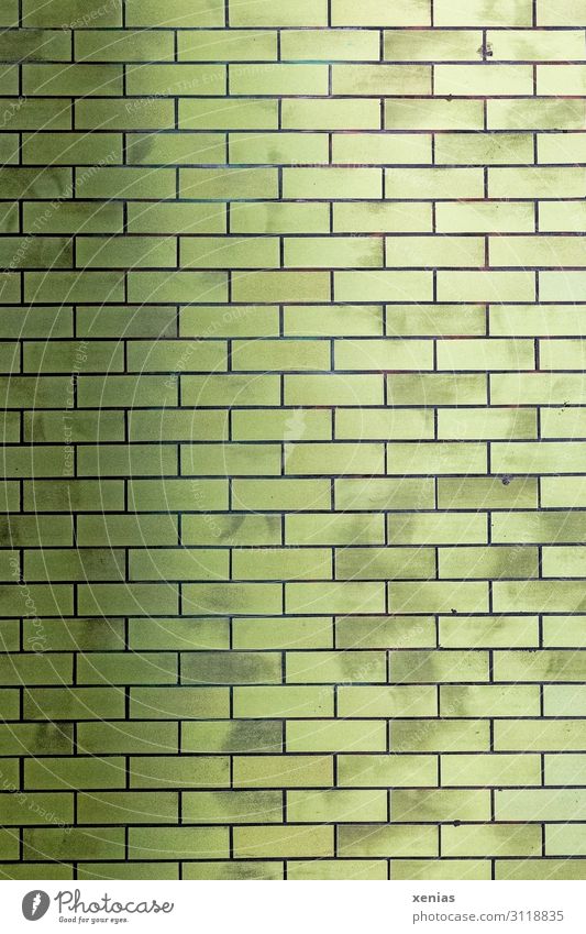 Grüne Wand Stadt Bahnhof Mauer Tunnel U-Bahn Stein Linie grün Hintergrundbild Rechteck Fliesen u. Kacheln Farbfoto Außenaufnahme Muster Strukturen & Formen
