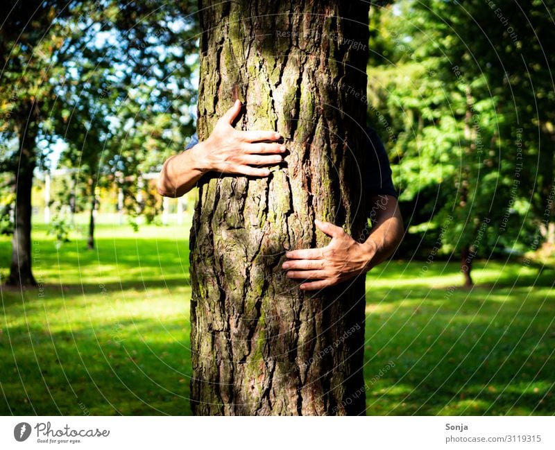 Mann umarmt einen Baum in einem Park Lifestyle maskulin Erwachsene Leben Hand Finger 1 Mensch 45-60 Jahre Umwelt Natur Sommer Herbst Klimawandel Gras Wald