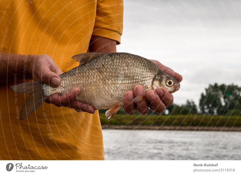 Brachsenfang im Fluss, Niederlande Angeln Jagd Sommer Sport Mensch Brust 1 45-60 Jahre Erwachsene Umwelt Natur Landschaft Tier Wasser Himmel IJssel T-Shirt