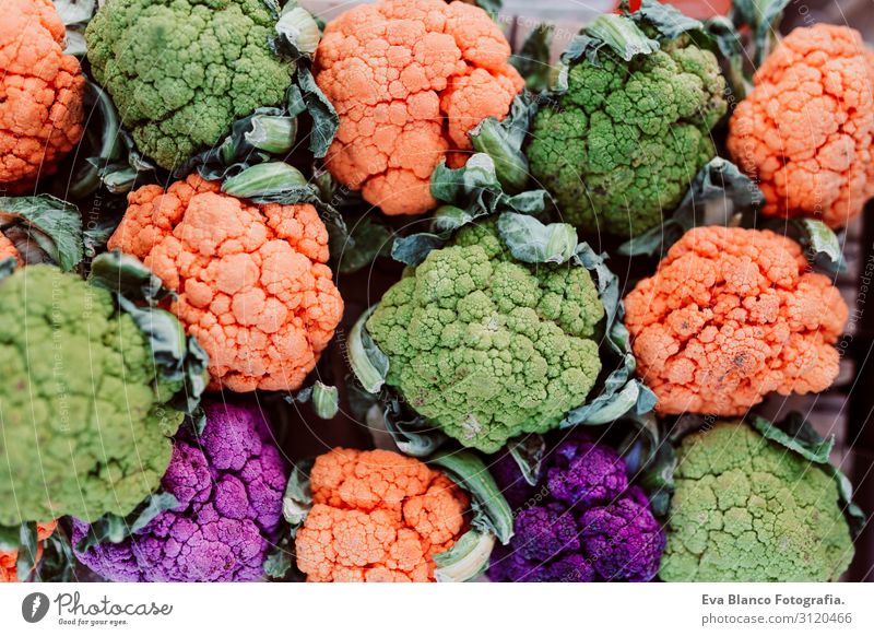 bunte Blumenkohl, orange, grün und lila Lebensmittel Gemüse Ernährung Essen Festessen Vegetarische Ernährung Diät Slowfood Lifestyle Freizeit & Hobby Sommer