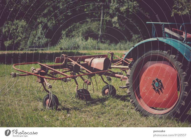 wertvoll | schweres gerät Natur Schönes Wetter Wiese Feld Fahrzeug Traktor drehen fahren mähen Heu Landwirtschaft alt altehrwürdig Farbfoto Außenaufnahme