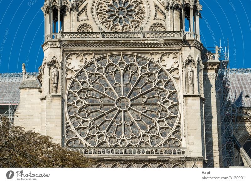 Notre Dame de Paris Stil Design Ferien & Urlaub & Reisen Tourismus Sightseeing Städtereise Sommer Sommerurlaub Dekoration & Verzierung Skulptur Architektur