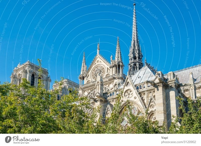 Notre Dame de Paris Stil Ferien & Urlaub & Reisen Tourismus Ausflug Sightseeing Städtereise Sommer Sommerurlaub Museum Skulptur Architektur Kultur Landschaft