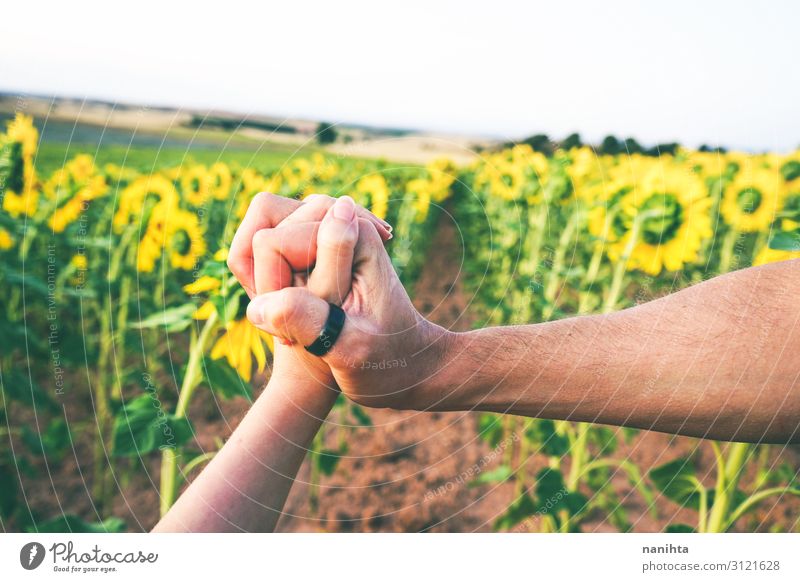 Paar, das Händchen hält in einem Feld von Sonnenblumen. Lifestyle schön Leben Arbeit & Erwerbstätigkeit Landwirtschaft Forstwirtschaft Partner Hand Umwelt Natur