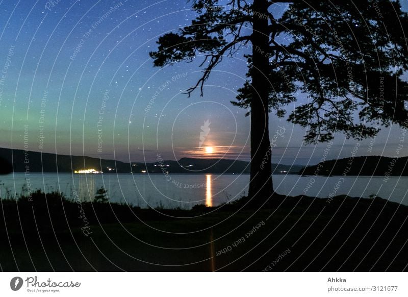 Nordlicht und Mondlicht Natur Nachthimmel Stern Horizont Baum Seeufer Mondschein Norwegen glänzend leuchten exotisch fantastisch gigantisch natürlich blau