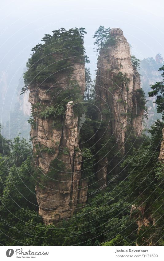 Zhangjiajie Nationalpark Ferien & Urlaub & Reisen Tourismus Sightseeing Natur Berge u. Gebirge Bekanntheit schön Asien Asien Reisen China berühmter Ort