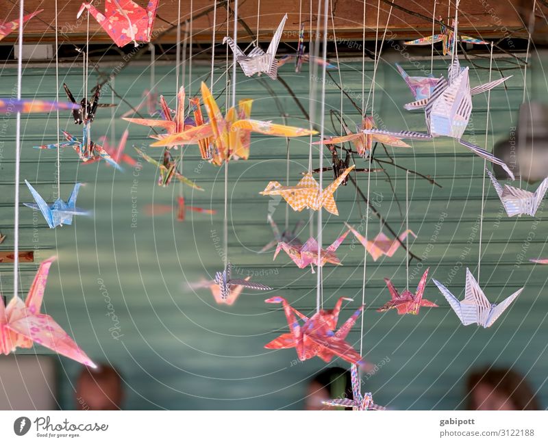 Bunte Papiervögel Freude Leben Sinnesorgane Erholung Dekoration & Verzierung mehrfarbig Vogel Papierflieger Origami Fröhlichkeit gemütlich Sommer sommerlich