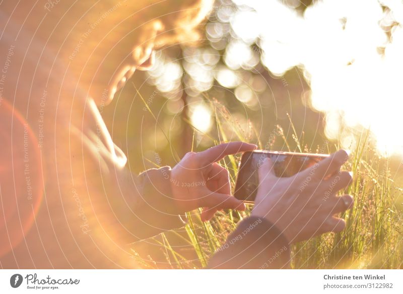Eine Frau fotografiert im Gegenlicht die Pflanzen / Gräser mit dem Smartphone Fotografieren Handy feminin Erwachsene 1 Mensch 45-60 Jahre Natur Sonnenaufgang