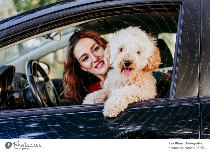 junge kaukasische Frau mit ihrem Pudelhund in einem Auto. Reisekonzept. Lebensstil und Haustiere Jugendliche Sonnenuntergang Feld Lifestyle lässig Gegenlicht