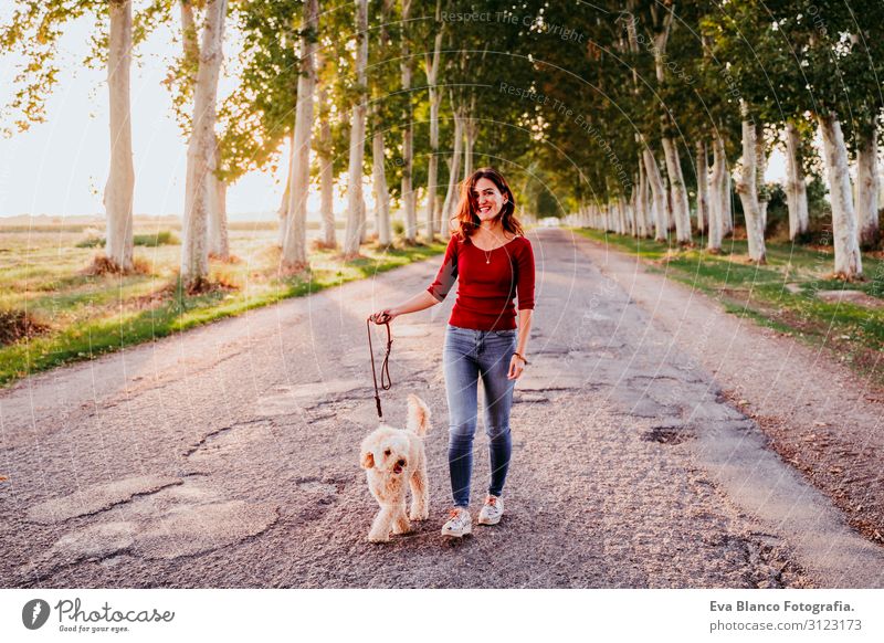 schöne kaukasische Frau, die mit ihrem süßen braunen Pudel auf der Straße unterwegs ist. Haustiere und Lebensweise im Freien Jugendliche Sonnenuntergang Feld