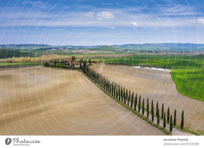Erstaunliche Felder der Toskana. Dröhnen oben Antenne Landschaft Italien Natur Europa Bauernhof ländlich Wiese Baum Zypresse im Freien Ackerbau panoramisch grün