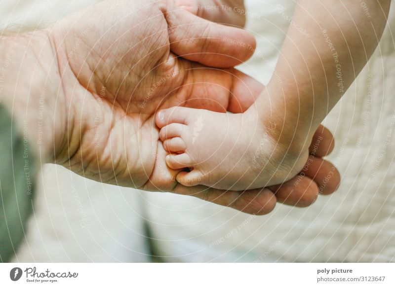 Baby Fuß in Männer Hand Lifestyle Wohlgefühl Sinnesorgane Erholung Meditation Massage Freizeit & Hobby Spielen Mann Erwachsene Eltern Familie & Verwandtschaft