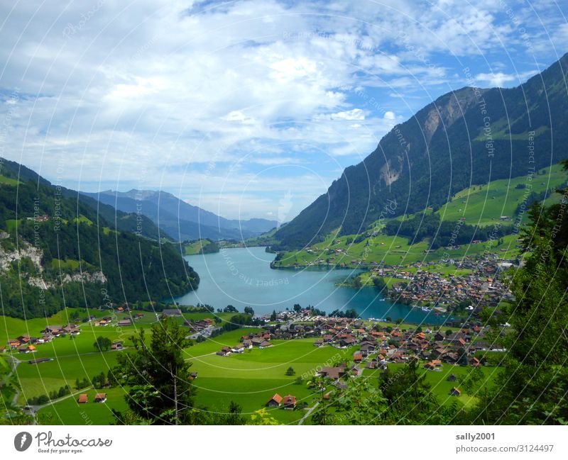 Ausflugswetter... Ferien & Urlaub & Reisen Tourismus wandern Sommer Schönes Wetter Alpen See Lungernsee Schweiz Dorf Farbfoto Außenaufnahme Tag Vogelperspektive