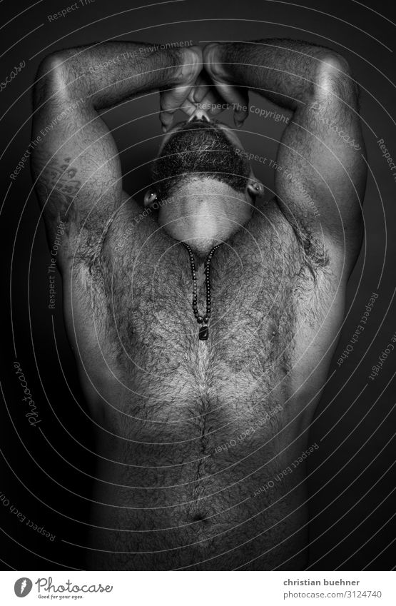 Porträt eines nackten Muskelmanns im Studio Mann erotisch Pose posierend Pilous Bär bärtig Papi itim Einfühlungsvermögen Model Schönheit Kosmetik Duftwasser