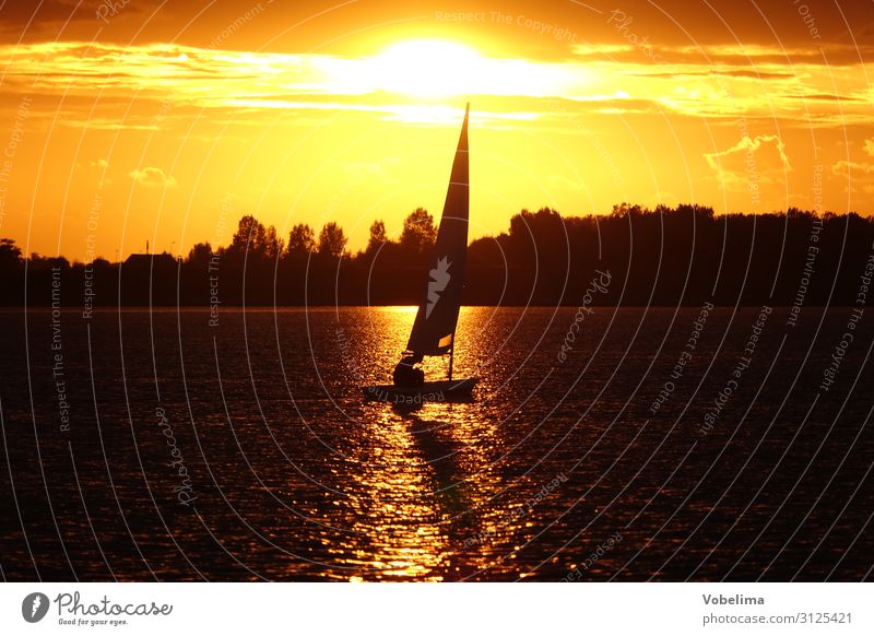 Segelboot auf dem Veerse Meer mit Abendsonne Freizeit & Hobby Ferien & Urlaub & Reisen Sport Wassersport Segeln Natur See kamperland Niederlande Europa gold