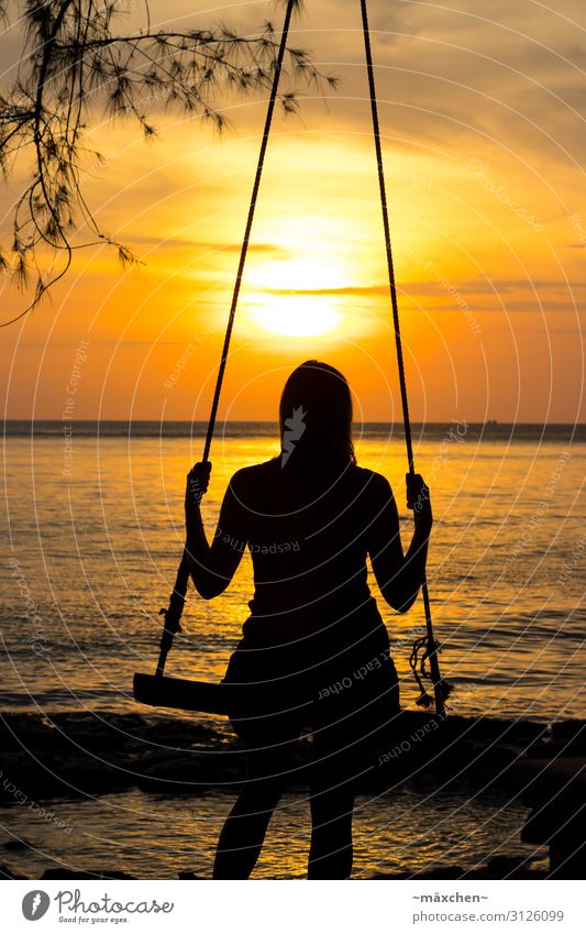 Swinging in Vietnam Zufriedenheit Erholung ruhig Meditation Ferien & Urlaub & Reisen Ferne Freiheit Sommer Natur Meer Stimmung Glück Gelassenheit Schaukel