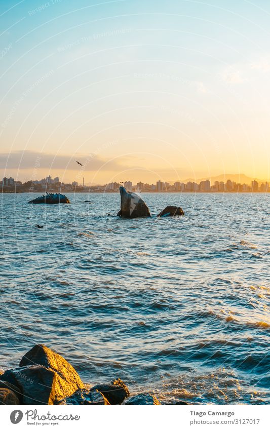 Delphinfelsen in Florianopolis, Brasilien Umwelt Natur Wasser Himmel Sonne Sonnenaufgang Sonnenuntergang Schönes Wetter Wellen Küste Zufriedenheit Erholung