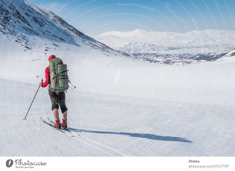 Fernweh, Skifahrer mit perfekten Bedingungen Sinnesorgane ruhig Ferne Winterurlaub Wintersport Skifahren 1 Mensch Natur Schönes Wetter Schnee Berge u. Gebirge
