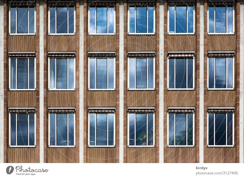 Alles nur Fassade Stadt Haus Hochhaus Gebäude Architektur Fenster authentisch blau braun grau Design Gesellschaft (Soziologie) Politik & Staat Schwerpunkt