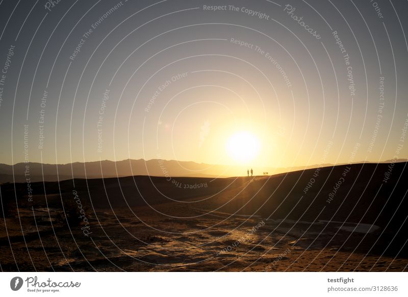 morgensonne Umwelt Natur Landschaft Erde Sand Sommer Wüste Wärme Morgen Sonnenaufgang Farbfoto Außenaufnahme Textfreiraum oben Licht Schatten Kontrast