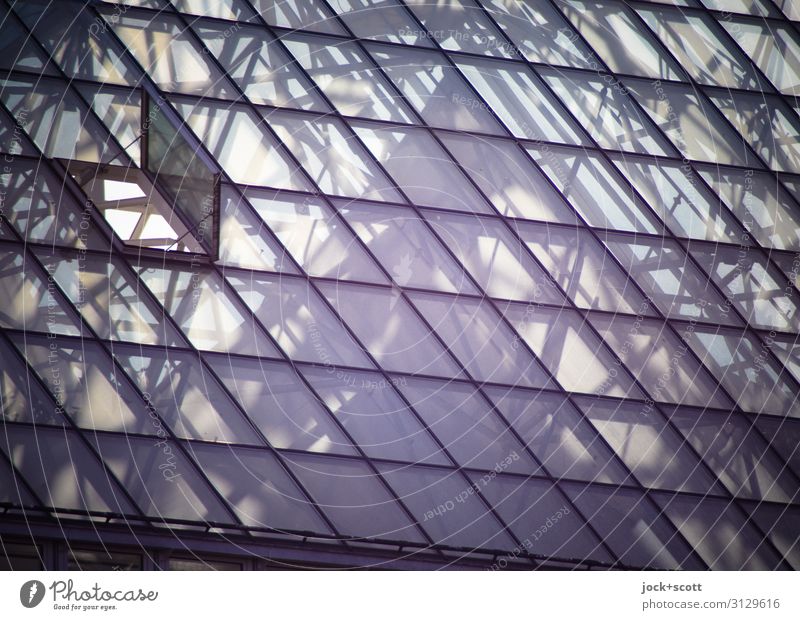 vitreus Glasdach Luke Atrium Netzwerk Dreieck Oberfläche eckig modern oben Schutz Verschwiegenheit ästhetisch komplex Konstruktion durchsichtig Geometrie