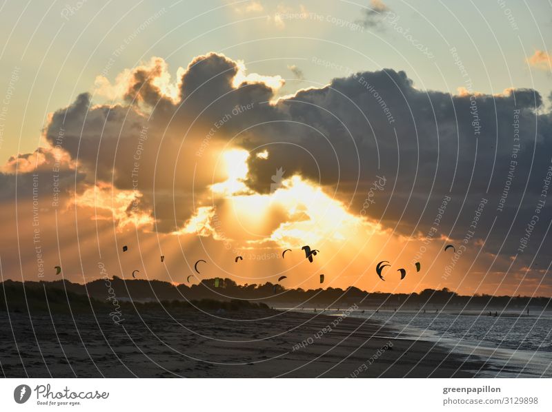 Kitesurfen im Sonnenuntergang an der Nordsee Surfen Kiting Ferien & Urlaub & Reisen Tourismus Abenteuer Freiheit Sommerurlaub Wellen Natur Landschaft Wasser