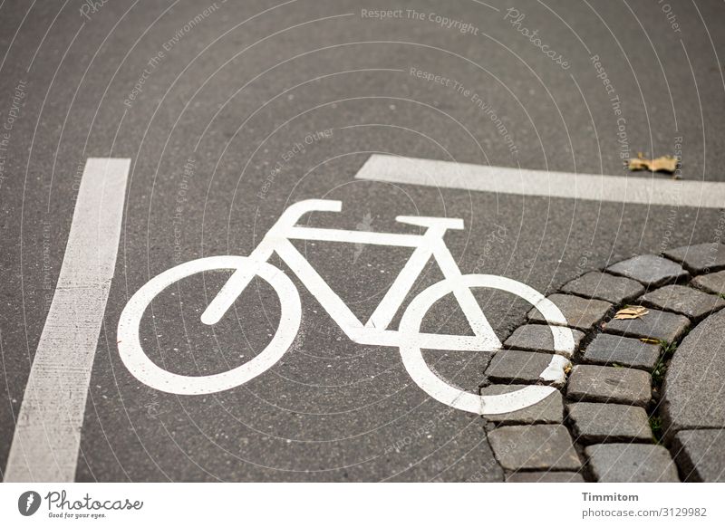 Könnte eng werden... Straße Asphalt Markierung Fahrrad Kurve Pflasterung Linien Piktogramm Orientierung Menschenleer Farbfoto