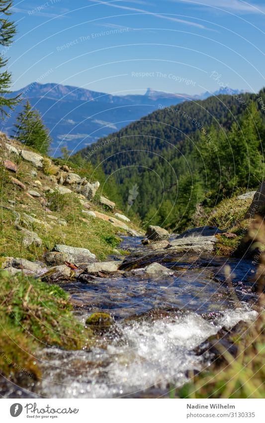 Bergbach mit Bergblick Natur Landschaft Pflanze Erde Wasser Himmel Horizont Sommer Schönes Wetter Gras Alpen Berge u. Gebirge schön Wärme blau braun grün weiß