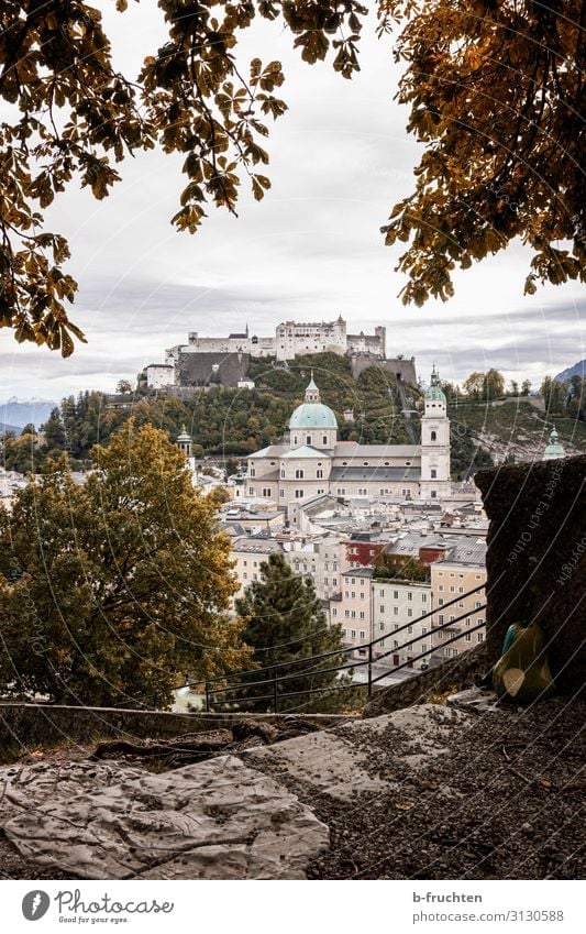 Salzburg Stadtansicht Herbst Landschaft Wolken Pflanze Sträucher Altstadt Skyline Kirche Dom Burg oder Schloss Bauwerk Mauer Wand Sehenswürdigkeit Wahrzeichen