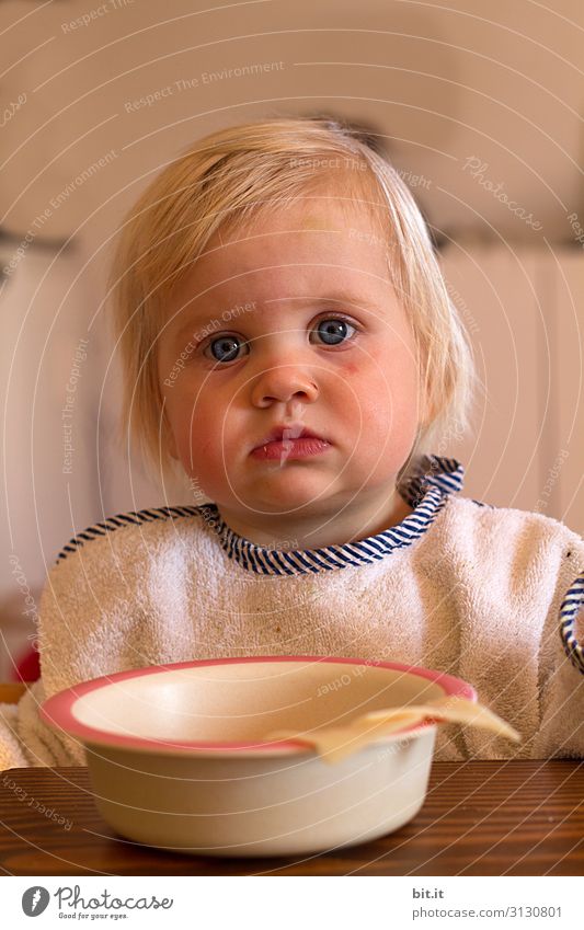 Die Ernsthaftigkeit, vor dem Klick. Ernährung Essen Geschirr Teller Schalen & Schüsseln Mensch feminin Kind Kleinkind Kindheit Kopf blond niedlich Traurigkeit